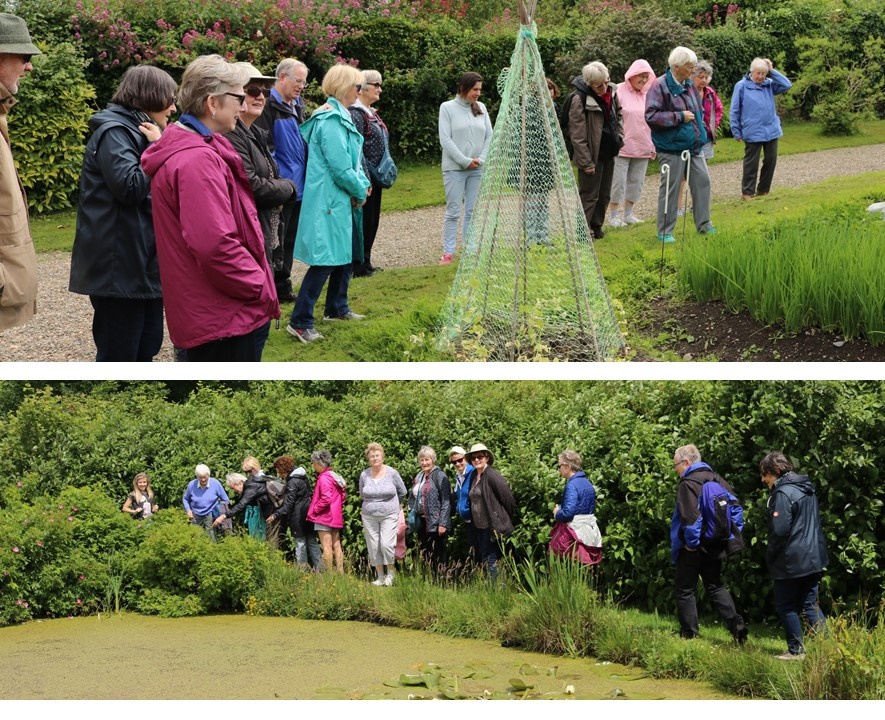 ICA members walking on the farm