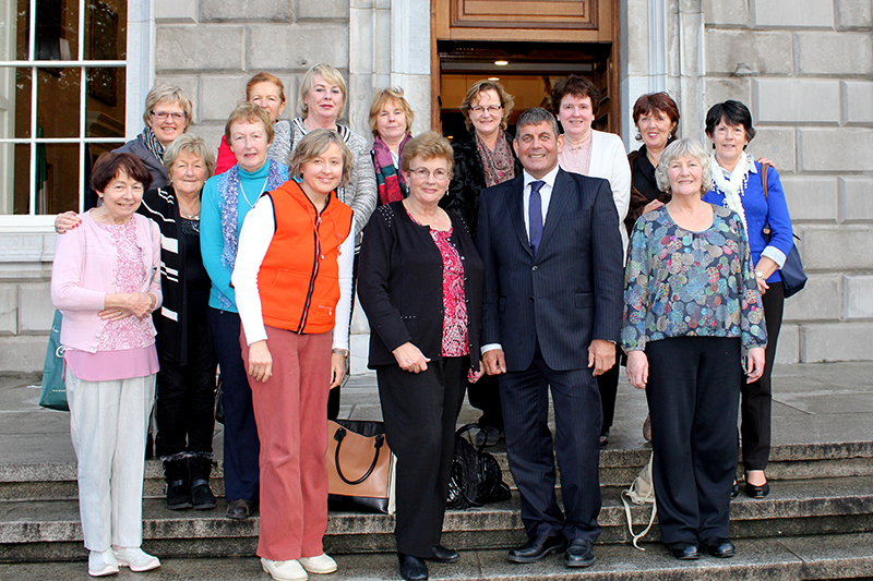 Members of ICA Wicklow Town with Andrew Doyle TD on the steps of Leinster House